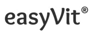 EasyVit