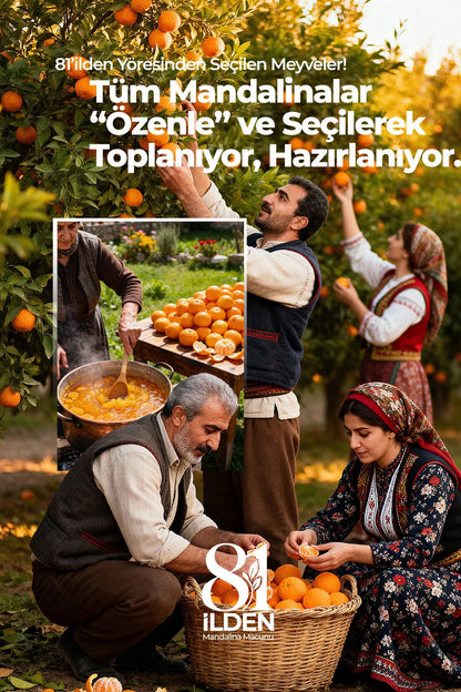 81 İlden Bodrum Mandalinası Macunu Zencefil, Zerdeçal ve Propolis İçeren Marmelat 240 g